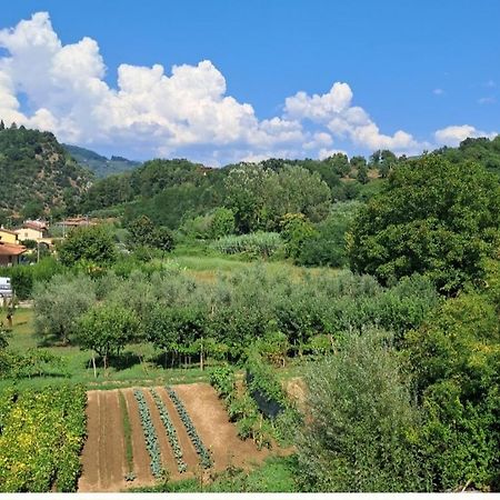 Appartamento La locanda di nonna Jolanda Borgo a Mozzano Esterno foto