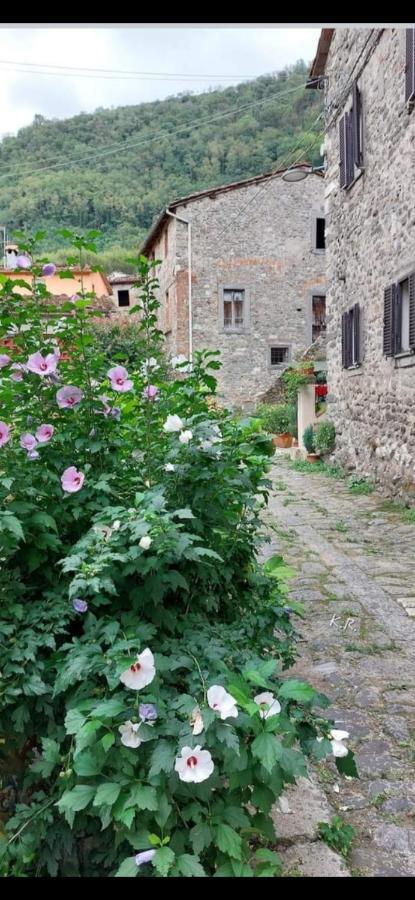 Appartamento La locanda di nonna Jolanda Borgo a Mozzano Esterno foto