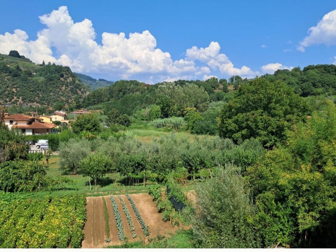 Appartamento La locanda di nonna Jolanda Borgo a Mozzano Esterno foto
